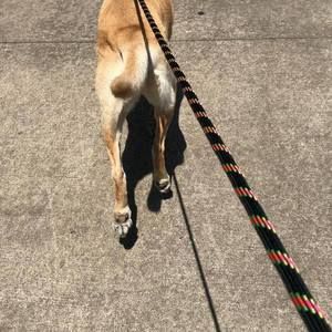 Meet your Posher, Joshua